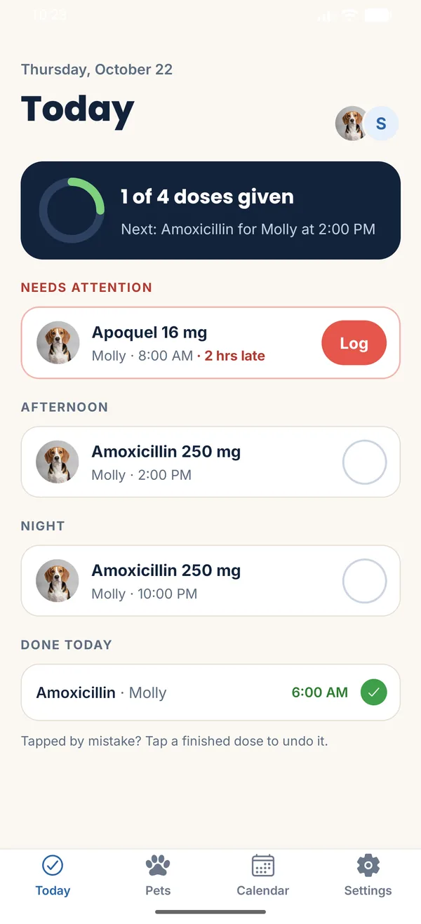 VetMed Tracker Today screen showing Molly the beagle's doses for the day, with one late dose to log